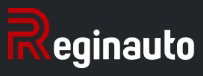 Reginauto S.r.l. - Napoli